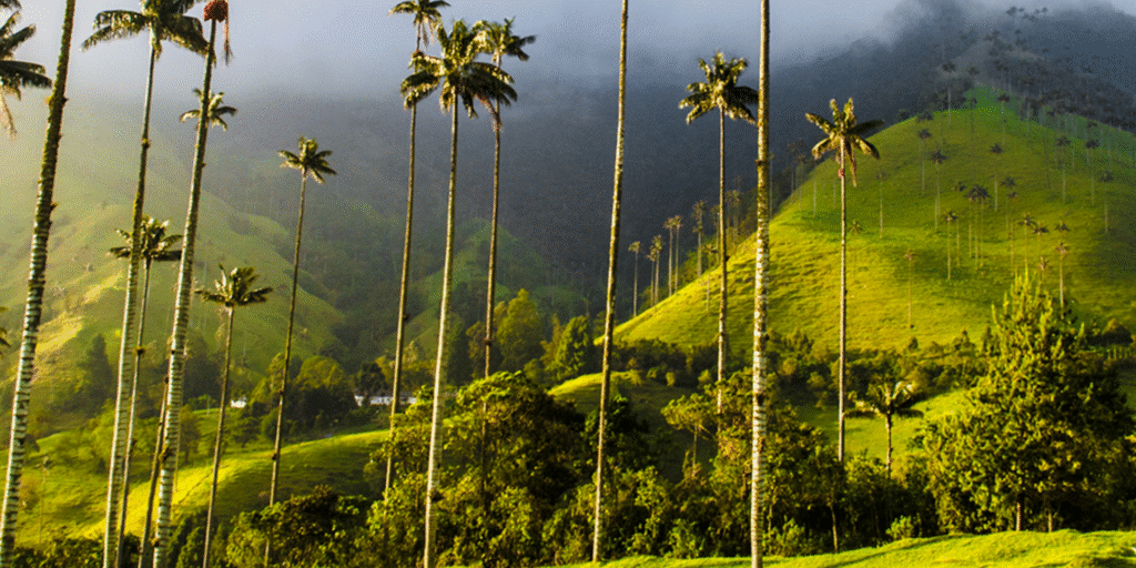 Quindío 4